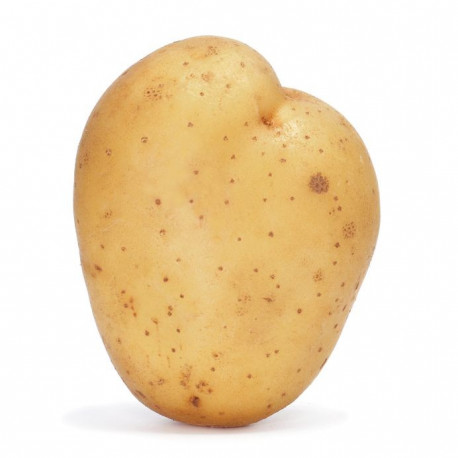 Autocollant Pomme de terre murale