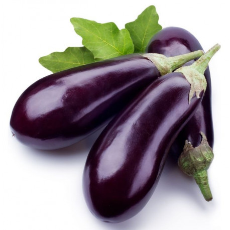Sticker Aubergines