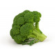 Sticker Brocoli