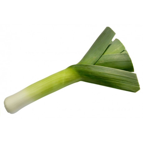 Autocollant Poireau murale