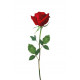 Sticker Rose rouge