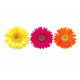 Sticker Fleurs