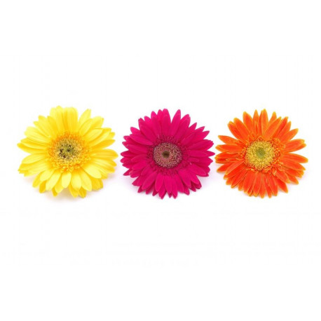 Sticker Fleurs