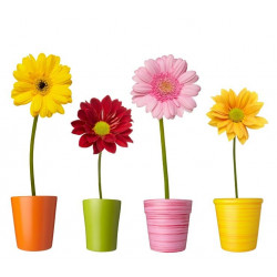 Sticker Marguerittes en pots mural