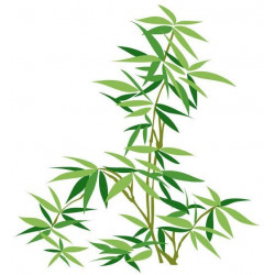 Autocollant mural Bambous feuillage