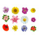Sticker Fleur Lot