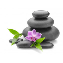 Sticker mural Galets fleur