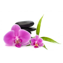 Sticker mural Fleurs avec galet