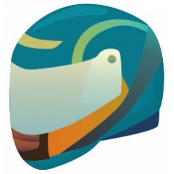 Sticker casque pour pilote