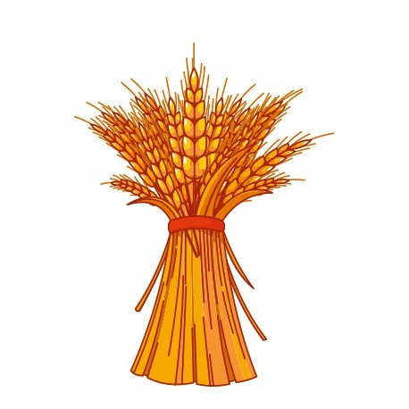 Sticker mural fagot de blé