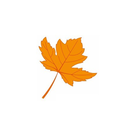 Sticker mural feuille erable