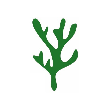 Autocollant mural corail vert