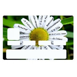 Sticker carte bancaire Paquerette