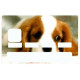 Sticker carte bancaire Chien