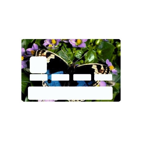 Sticker carte bancaire Papillon