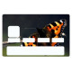 Sticker carte bancaire Papillon