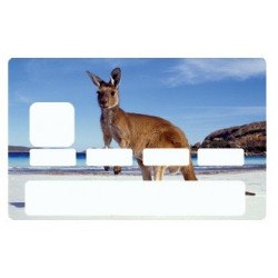 Sticker carte bancaire Kangourou Plage