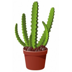 Sticker Cactus colonnaire