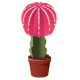 Sticker Cactus rose