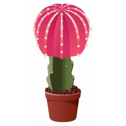 Sticker Cactus rose