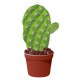 Sticker Cactus plat
