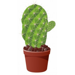 Sticker Cactus plat