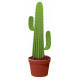 Sticker Cactus mexique