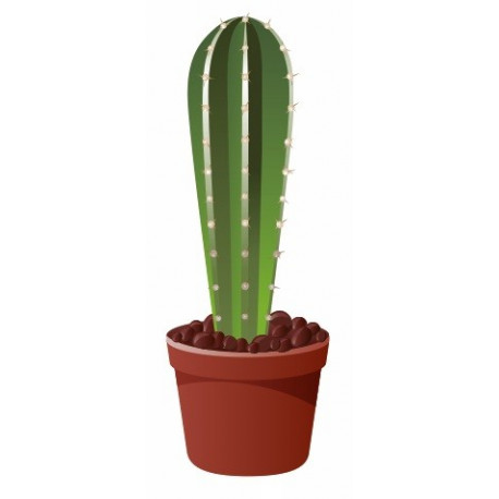 Sticker Cactus colonne