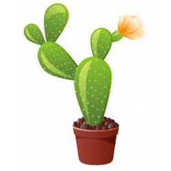 Sticker Cactus avec fleurs
