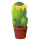 Autocollant Cactus avec fleurs