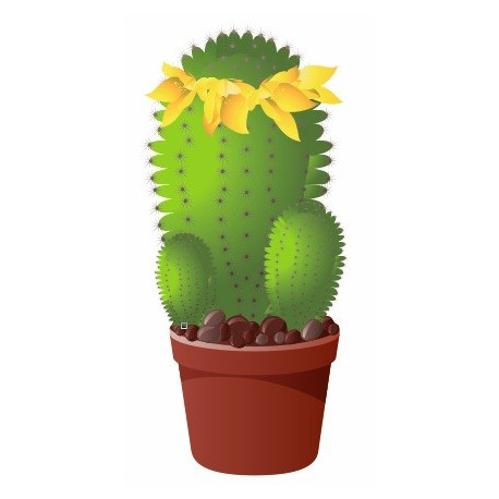 Autocollant Cactus avec fleurs