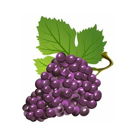 Sticker Raisin fruit