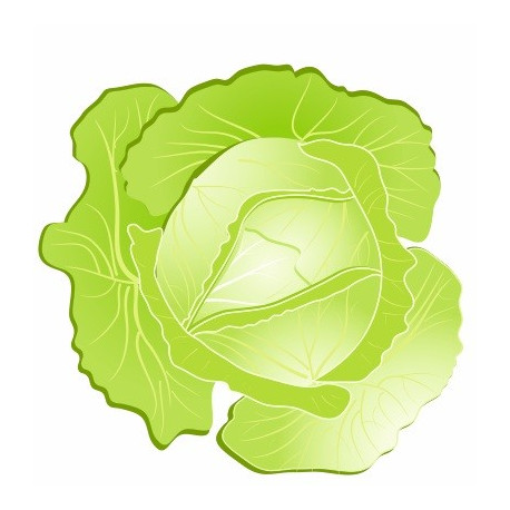 Autocollant Salade deco murale