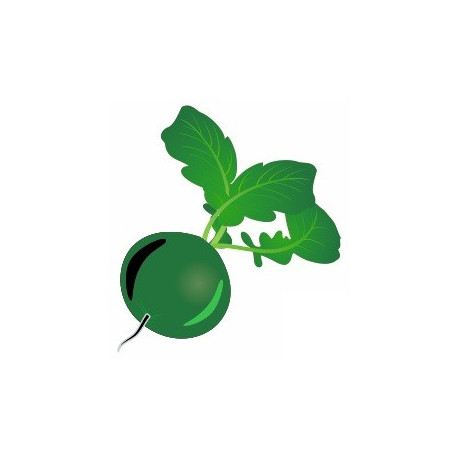 Autocollant Radis Vert