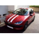 Sticker - Frise / Bande de couleur RACER (REFG755B)