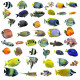 Sticker lot poissons aquarium