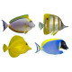 Sticker poissons en aquarium