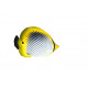 Sticker poisson jaune aquarium