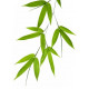 Sticker bambou feuille