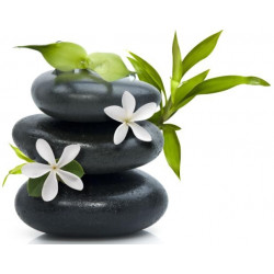 Sticker galet fleur blanche