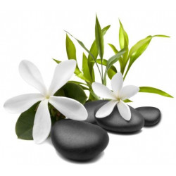 Sticker galet avec fleurs