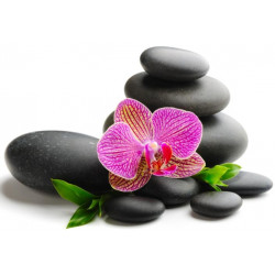 Sticker galet avec fleur rose