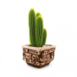 Sticker Cactus en pot