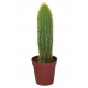 Sticker Cactus haut