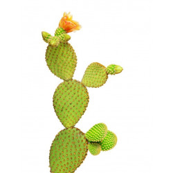 Sticker Cactus géant