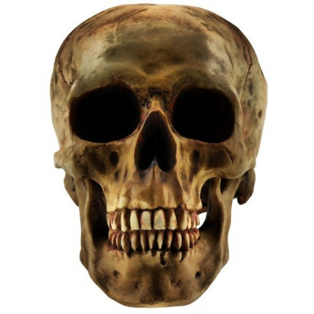 Sticker Tête de mort