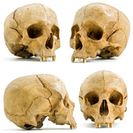 Sticker lot Têtes de mort