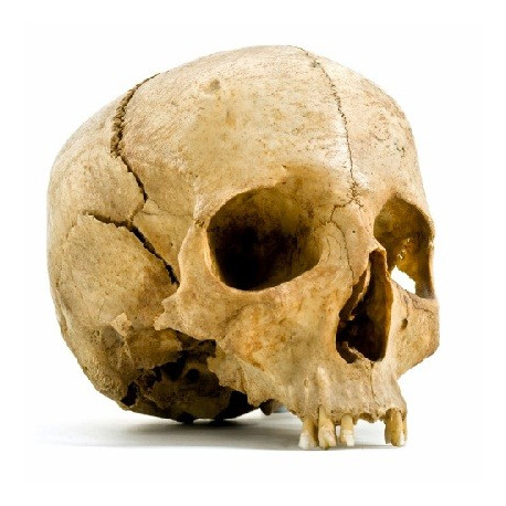 Autocollant mural Tête de mort moto