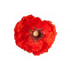 Sticker coquelicot deco murale