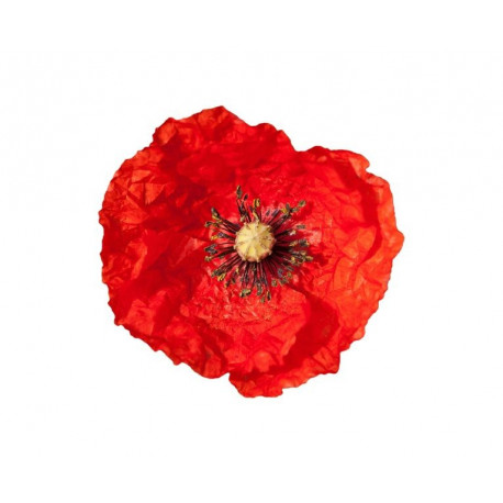Sticker coquelicot deco murale